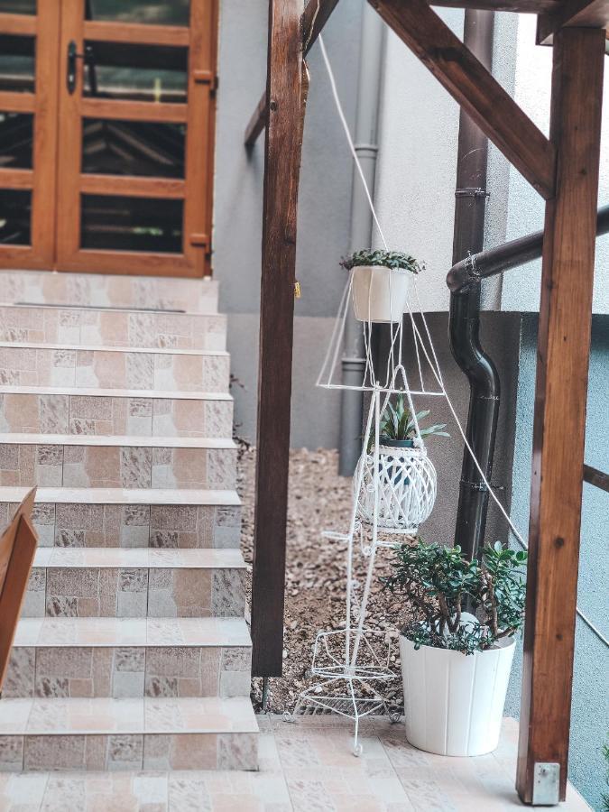 Villa-Apartments Bognar Velika 외부 사진