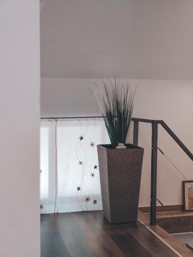 Villa-Apartments Bognar Velika 외부 사진