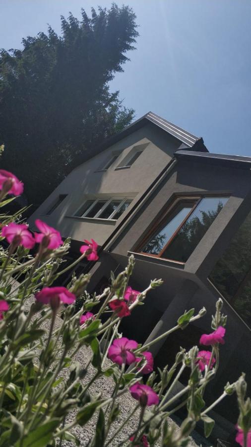 Villa-Apartments Bognar Velika 외부 사진